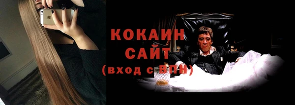 соль ск Алзамай