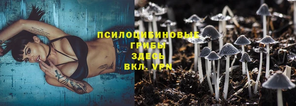 соль ск Алзамай