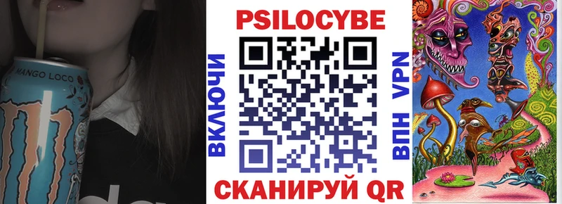 Псилоцибиновые грибы мицелий  kraken ССЫЛКА  Карачаевск 